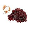 Admart Kamarkas gond | Palash Gond - 100GMS | kamarkas gond view 1