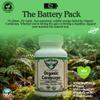AlchePharma Organic Cordyceps Mushroom Capsules  1000mg Serving  U.S. Grown Cordyceps Sinensis Mycelium  Standardized to 40% Polysaccharides  Vegan, Non-GMO, Gluten Free Supplement view 2