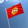 Polish Socialist Party Political Poland Polska Partia Socjalistyczna PPS 3x5 feet Flag Banner Vivid Color Double Stitched Brass Grommets (Polish Socialist Party #1) view 3