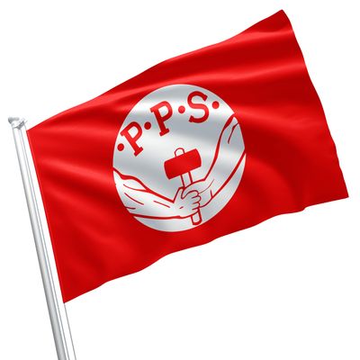 Polish Socialist Party Political Poland Polska Partia Socjalistyczna PPS 3x5 feet Flag Banner Vivid Color Double Stitched Brass Grommets (Polish Socialist Party #2)