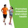 Lewis Labs Healthy Gut Prebiotic Fiber 6 Oz, Prebiotic Fiber with Probiotics, and Digestive Enzymes, Gut Prebiotic Fiber, Keto Friendly, Gluten Free, No MSG, Vegan Healthy Gut view 4