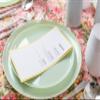 [30 Pack 6.3''] Mint Green Plastic Party Plates Edge Collection Premium heavyweight Elegant Disposable Tableware Dishes view 3