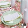 [30 Pack 6.3''] Mint Green Plastic Party Plates Edge Collection Premium heavyweight Elegant Disposable Tableware Dishes view 4
