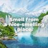Irish Spring Mountain Chill Body Wash view 4