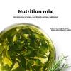 Jiaogulan tea (Gynostemma Pentaphyllum) 5.29 oz herbal flower Chinese green tea Authentic wild tea 150g view 4