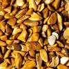 1/4 lb Tumbled Yellow Jasper Gemstone Crystals 50-70 Stones Gems Rocks Specimens view 2