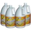 SunGlo CITRUS CLEAN view 1