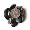 1/4 lb Tumbled Blue Tigers Eye Gemstone Crystals 30-45 Stones Gem Rock Specimens view 4