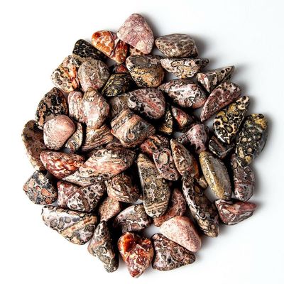 1/2 lb Tumbled Leopard Skin Jasper Gemstone Crystals 60-80 Stones Rock Specimens
