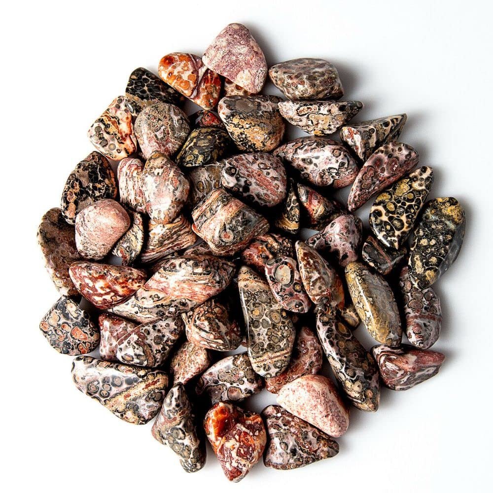 1/2 lb Tumbled Leopard Skin Jasper Gemstone Crystals 60-80 Stones Rock Specimens