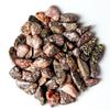1/2 lb Tumbled Leopard Skin Jasper Gemstone Crystals 60-80 Stones Rock Specimens view 1