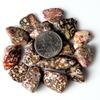 1/2 lb Tumbled Leopard Skin Jasper Gemstone Crystals 60-80 Stones Rock Specimens view 2