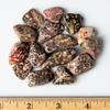 1/2 lb Tumbled Leopard Skin Jasper Gemstone Crystals 60-80 Stones Rock Specimens view 3