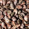 1/2 lb Tumbled Leopard Skin Jasper Gemstone Crystals 60-80 Stones Rock Specimens view 4