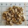 1/2 lb Tumbled Picture Jasper Gemstone Crystals 100-125 Stones Gem Rock Specimen view 2