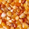 1/2 lb Tumbled Banded Carnelian Gemstone Crystals 30-50 Stones Gem Rock Specimen view 2