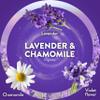 Air Wick Plug in Scented Oil Refill, 7 ct, Lavender & CHAMOMILE, Air Freshener, Essential Oils view 4