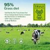 Opportuniteas Chocolate Grass Fed Whey Protein Isolate Powder, 5 lb view 4
