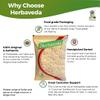 Admart Herbaveda - Thirikadugam Powder 100g | Thirikadugam churna | Trikatu | Thirukaduga Powder view 3