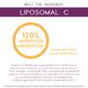 Body Kitchen Liposomal Vitamin C Shield, 1000mg PureWay-C, High Absorption, Non-GMO, Supports Immune Health and Cellular Efficacy, Veggie Caps, 60 Count view 3