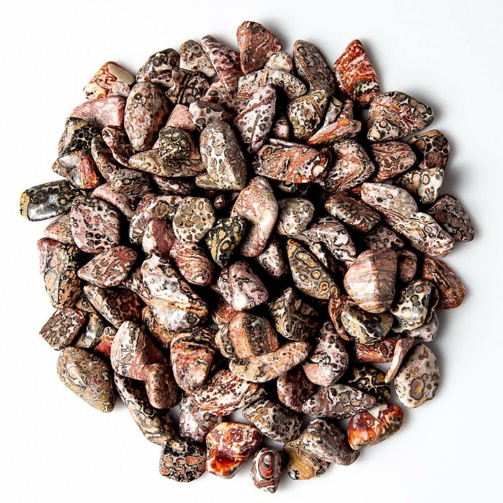 1 lb Tumbled Leopard Skin Jasper Gemstone Crystals 115-150 Stones Rock Specimens