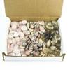 1 lb Lots Tumbled Stone Collection Pink Rose Quartz Leopard Jasper Smoky Quartz view 1