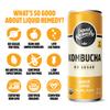 Liquid Remedy Kombucha Sugar Free Organic Drink, Low Calorie, Probiotic Like Tea for Gut Health - Super Sampler Variety Pack - 8.5 Fl Oz Can, 24-Pack view 3
