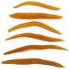 Admart Gold Plus Shatavari Root Asparagus Racemosus, 250 gm view 2