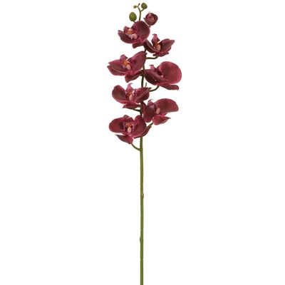 SilksAreForever 30" Real Touch Silk Phalaenopsis Orchid Flower Stem -Plum (Pack of 12)
