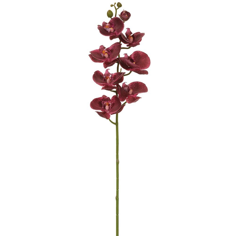 SilksAreForever 30" Real Touch Silk Phalaenopsis Orchid Flower Stem -Plum (Pack of 12)