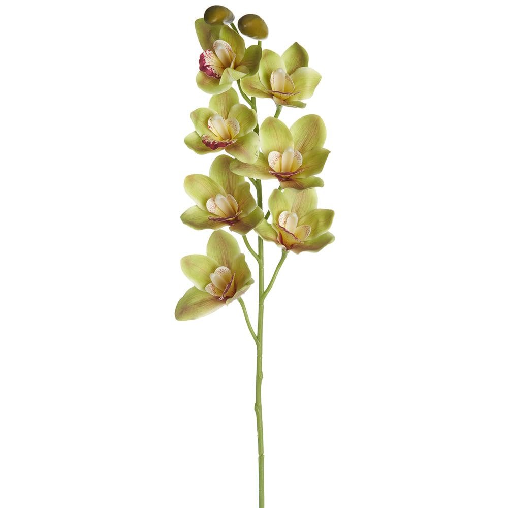 SilksAreForever 36" Hand-Wrapped Cymbidium Orchid Silk Flower Stem -Green (Pack of 12)