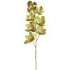 SilksAreForever 36" Hand-Wrapped Cymbidium Orchid Silk Flower Stem -Green (Pack of 12) view 1