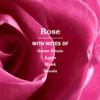 MRS. MEYER'S CLEAN DAY Liquid Dish Soap, Limited Edition Rose, 16 fl. oz - Pack of 3 view 3