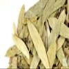 Veena Rasna Powder|Pluchea Lanceolata Powder|100 Gm view 2