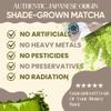 Miaroo Vanilla Matcha Latte Powder 100g | Sweetened Japanese Green Tea with Natural Vanilla Flavor | Non-Dairy, 5g Sugar, 30mg Caffeine | Hot & Iced Lattes view 3