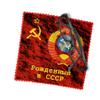 Born in USSR Eyeglass Cleaner & Microfiber Cleaning Cloth (Born in USSR) view 2