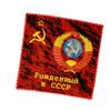 Born in USSR Eyeglass Cleaner & Microfiber Cleaning Cloth (Born in USSR) view 3