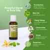 LEUDINE Herbal 35 Essential Oil Blend - 35 Natural Extracts with Peppermint, Eucalyptus & Lavender - Relaxing Aromatherapy Oil for Diffuser, Massage & Stress Relief - Vegan & Pure Wellness, 1 Fl Oz view 3