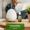 LEUDINE Herbal 35 Essential Oil Blend - 35 Natural Extracts with Peppermint, Eucalyptus & Lavender - Relaxing Aromatherapy Oil for Diffuser, Massage & Stress Relief - Vegan & Pure Wellness, 1 Fl Oz view 4