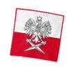 AW Polish Eyeglass Cleaner & Microfiber Cleaning Cloth (AW Polish) view 3