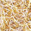 Outus 1LB Gold and White Crinkle Cut Paper Shred Filler Shredded Paper for Gift Box Gift Basket Bag Filler Grass Tissue Cushion Stuffing for Christmas Holiday Packaging Wrapping view 1