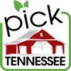 Merritt-Pop Tennessee Microwave Popcorn (Natural) view 4