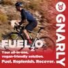 Gnarly Nutrition Fuel2O Electrolyte Powder, Cherry Cola  NSF Sport Certified  Electrolyte Solution, Fuel, Replenishment, and Recovery  Fuel2O Endurance Nutrition  Cherry Cola, 25.57 oz view 4
