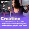 Gnarly Nutrition Creatine Powder  Creapure, Vegan Creatine Supplement  NSF Sport Certified, Optimized Recovery  Sports Nutrition  5g Creatine Monohydrate  Unflavored, 15.87 oz view 4