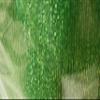 MEMBER'S MARK Premium Wired Holiday Ribbon (2.5 Inch Width, Green) view 1