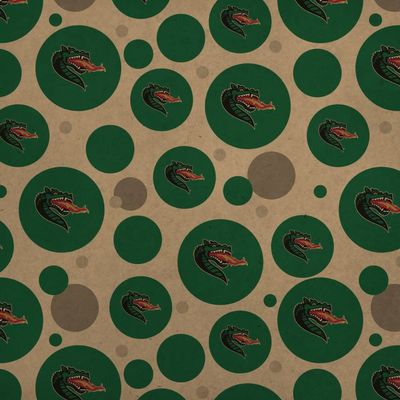GRAPHICS & MORE Alabama at Birmingham Primary Logo Premium Kraft Gift Wrap Wrapping Paper Roll