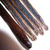 1 Ounce Mexican Vanilla Beans Whole Grade A Gourmet Vanilla Pods for Homemade Vanilla Extract and Baking from Veracruz, Mexico view 3