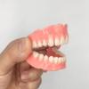 Denture Do it Yourself Full Set of Top and Bottom Fake Teeth for Improve Your Smile (Gypsum Model Gum Material and Fake Teeth) view 2