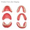 Denture Do it Yourself Full Set of Top and Bottom Fake Teeth for Improve Your Smile (Gypsum Model Gum Material and Fake Teeth) view 4