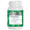 AZAZ Namyaa Aarthava Kshaya- for PCOD and PCOS- Pack of 60 Tablets, White, 100 Gram view 1